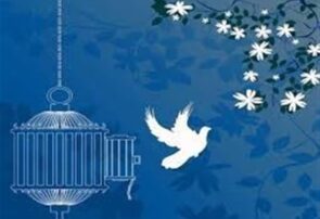 نذر خیران یزدی برای آزادی ۴ زندانی جرائم غیر عمد