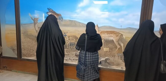 آموزش دبیران یزدی برای ترویج فرهنگ حفاظت از محیط زیست در مدارس آموزش دبیران یزدی برای ترویج فرهنگ حفاظت از محیط زیست در مدارس