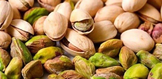 پیشبینی برداشت بیش از ۱۱ هزار تن پسته خشک از باغات خاتم پیشبینی برداشت بیش از ۱۱ هزار تن پسته خشک از باغات خاتم