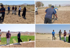 کلید خوردن طراحی دستگاه مکانیزه برداشت زعفران ویژه مزارع خرد در یزد