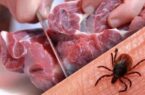 هشدار دامپزشکی یزد درباره خطر خرید گوشت از مراکز غیر مجاز